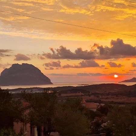 Holiday Homes بورتو سان باولو المظهر الخارجي الصورة
