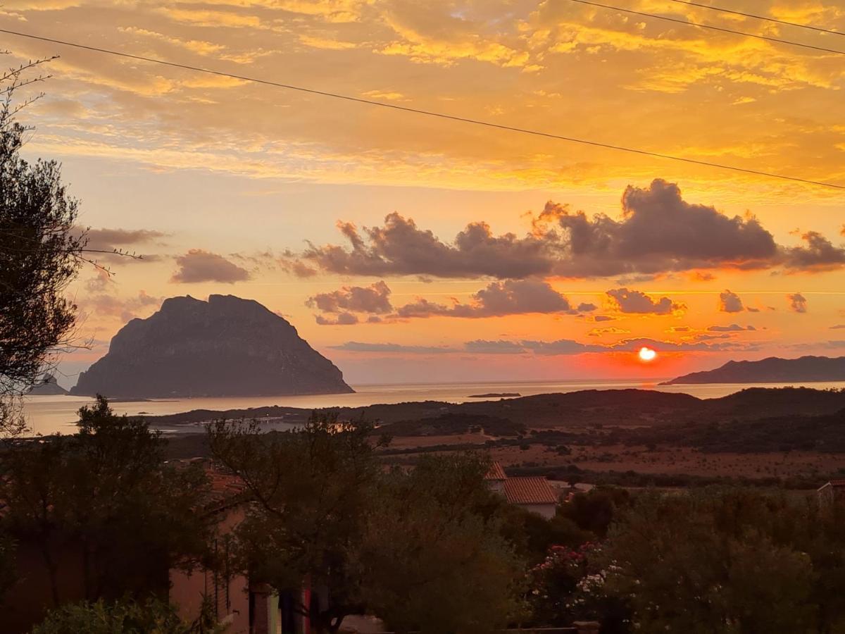 Holiday Homes بورتو سان باولو المظهر الخارجي الصورة